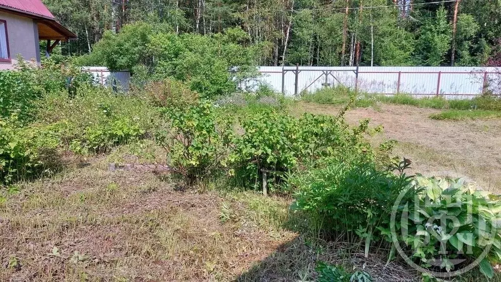 Участок в Ленинградская область, Выборгский район, Рощинское городское ... - Фото 2