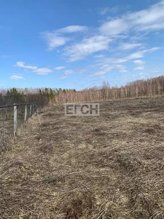 Продается участок в д. Соскино - Фото 2