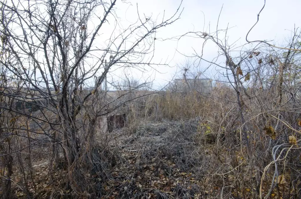 Дом в Оренбургская область, Оренбургский район, Рассвет СНТ  (20 м) - Фото 1