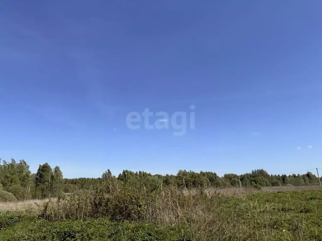 Участок в Смоленская область, Смоленский муниципальный округ, д. Рай ... - Фото 1