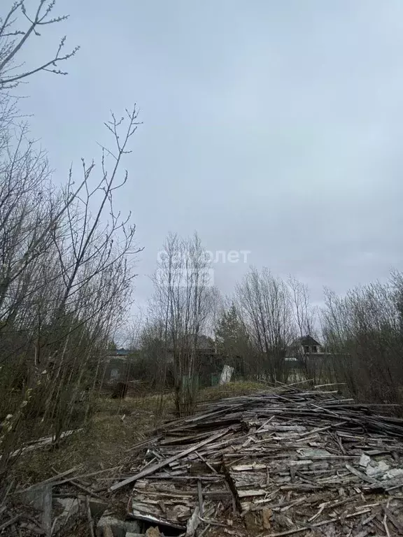 Участок в Ханты-Мансийский АО, Сургут Виктория садовое товарищество, ... - Фото 0