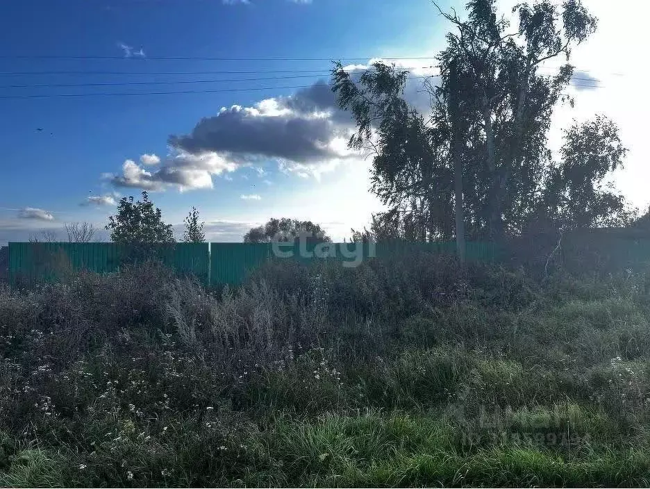 Участок в Башкортостан, Чишминский район, с. Енгалышево Речная ул. ... - Фото 0