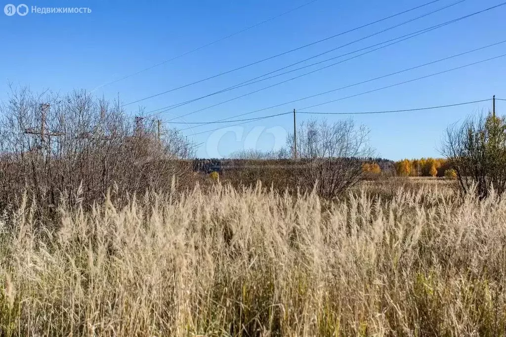 Участок в Тобольск, микрорайон Иртышский (10 м) - Фото 2