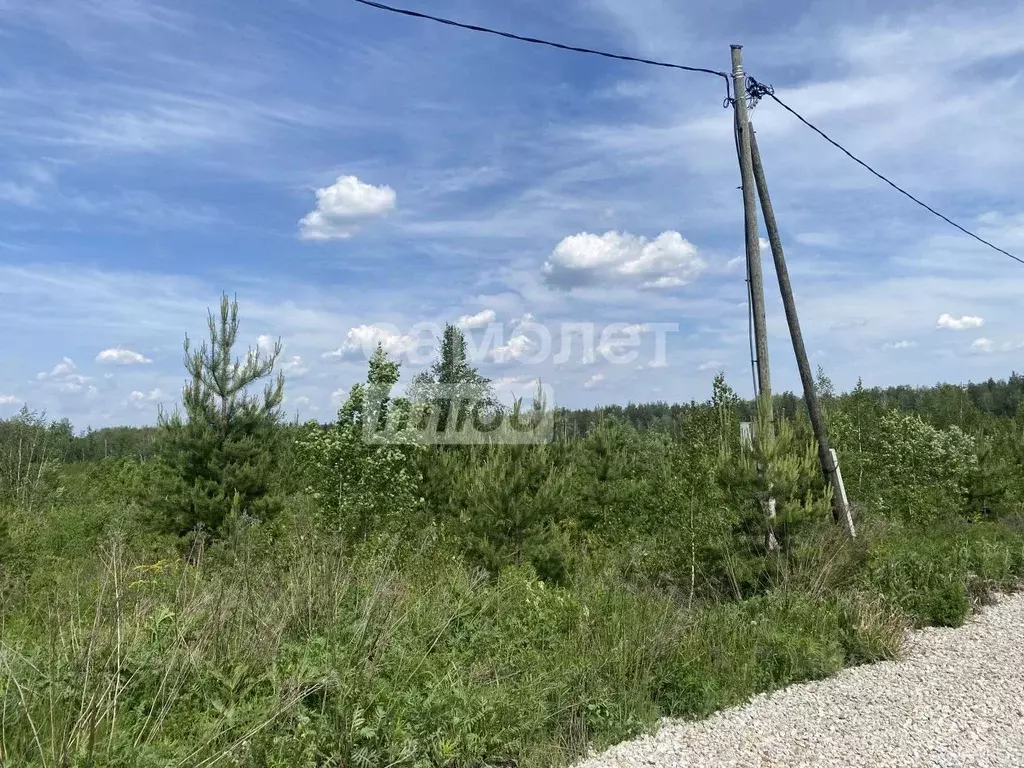 Участок в Свердловская область, Ревда муниципальный округ, с. Кунгурка ... - Фото 2