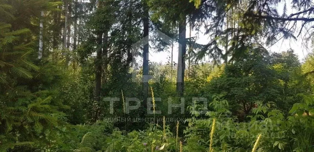 участок в ленинградская область, всеволожский район, юкковское с/пос, . - Фото 0