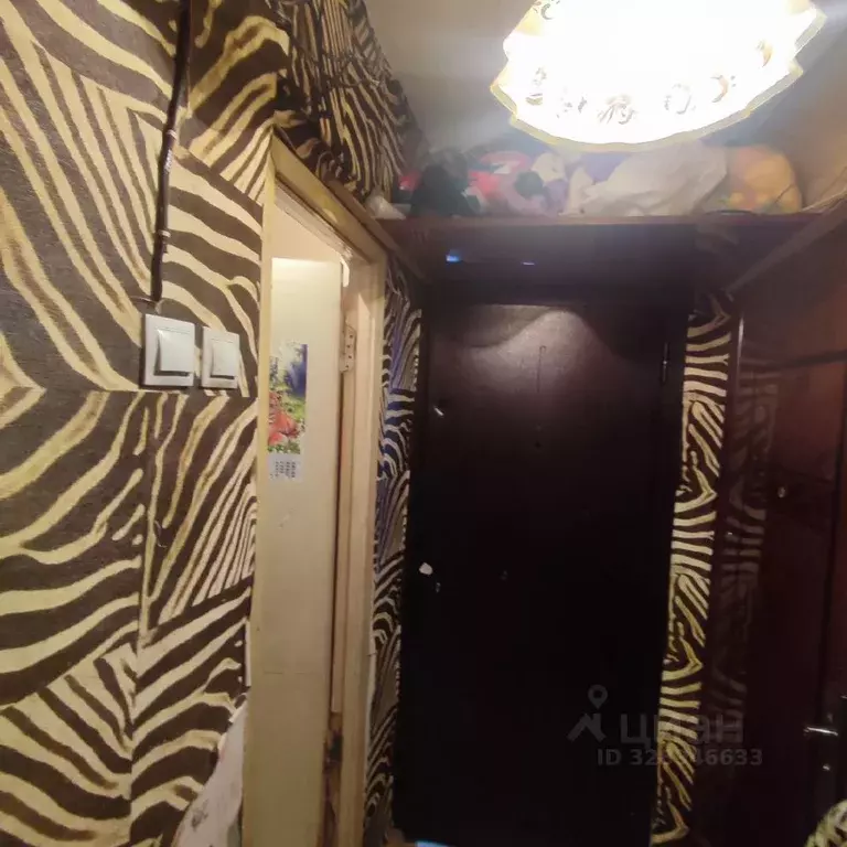 Комната Алтайский край, Барнаул ул. Сухэ-Батора, 20к2 (14.0 м) - Фото 1