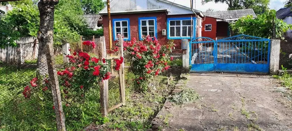 Дом в Краснодарский край, Анапа муниципальный округ, с. Юровка ул. ... - Фото 0