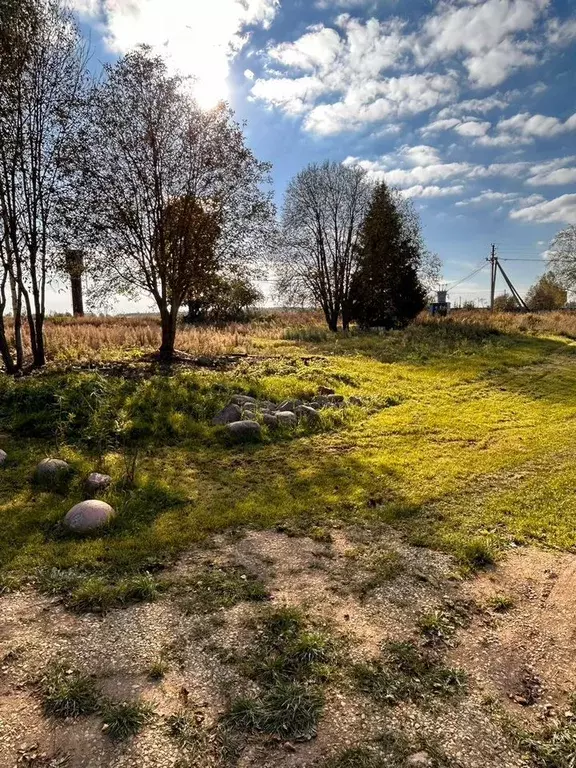 Участок в Ленинградская область, Волосовский район, Бегуницкое с/пос, ... - Фото 1