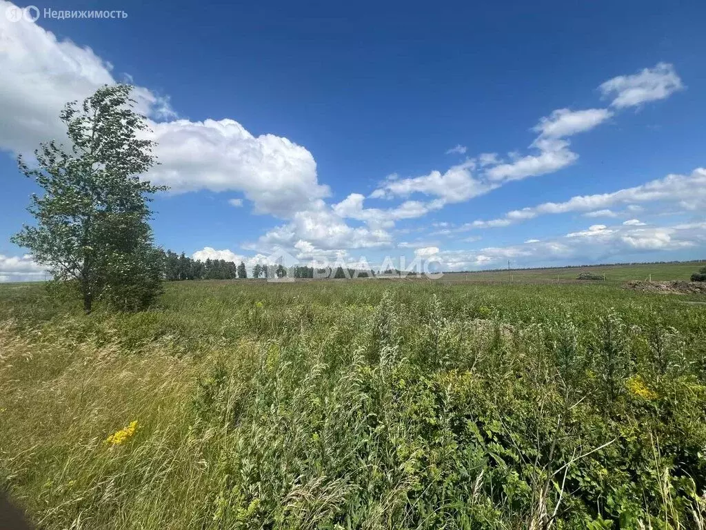 Участок в Рамзай, улица Мокшанцева, 1 (70 м) - Фото 0