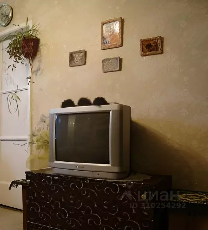 1-к кв. Севастополь ул. Гоголя, 47 (36.0 м) - Фото 1