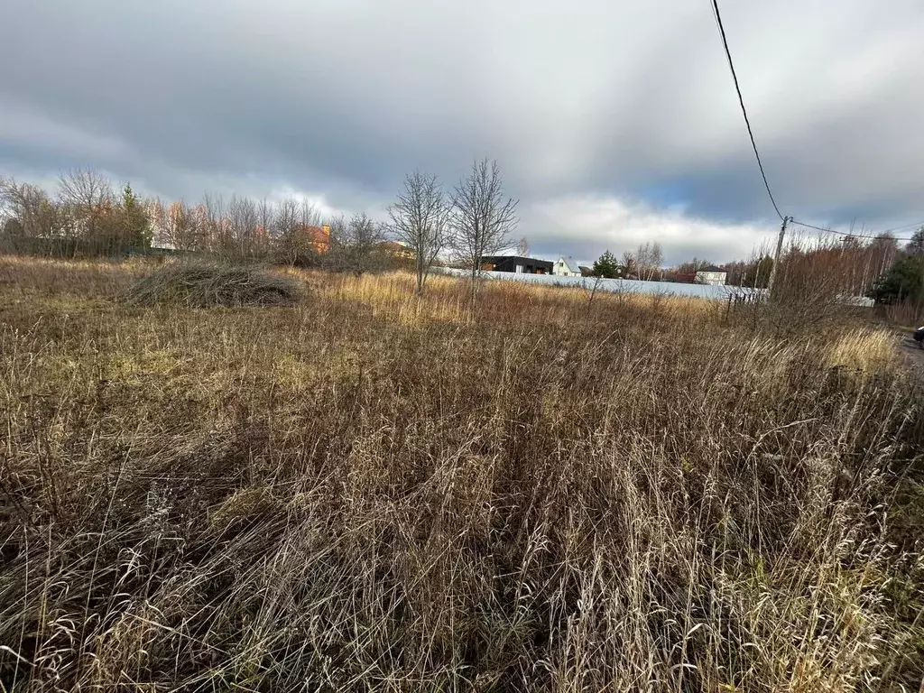 Участок в Московская область, Кашира городской округ, д. Лиды, Учитель ... - Фото 1