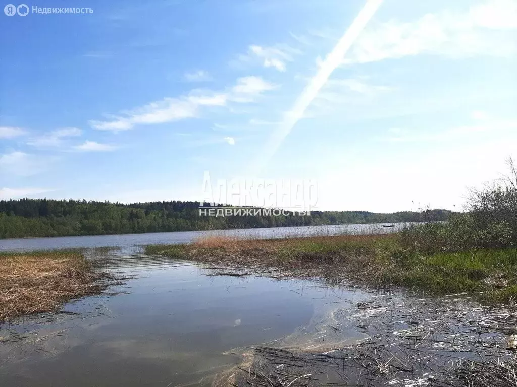 Участок в Республика Карелия, Лахденпохский муниципальный округ, ... - Фото 0