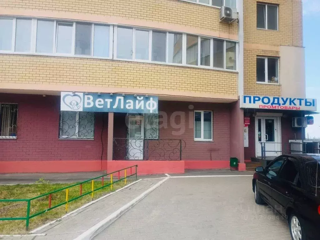 Офис в Брянская область, Брянск Красноармейская ул., 115 (81 м) - Фото 1