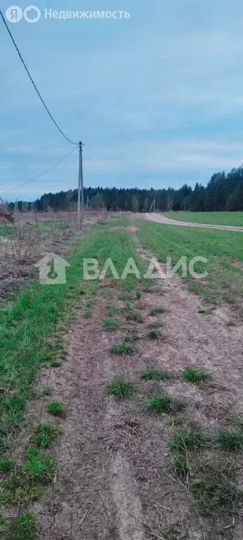 Участок в Вологодская область, Грязовецкий муниципальный округ, ... - Фото 1