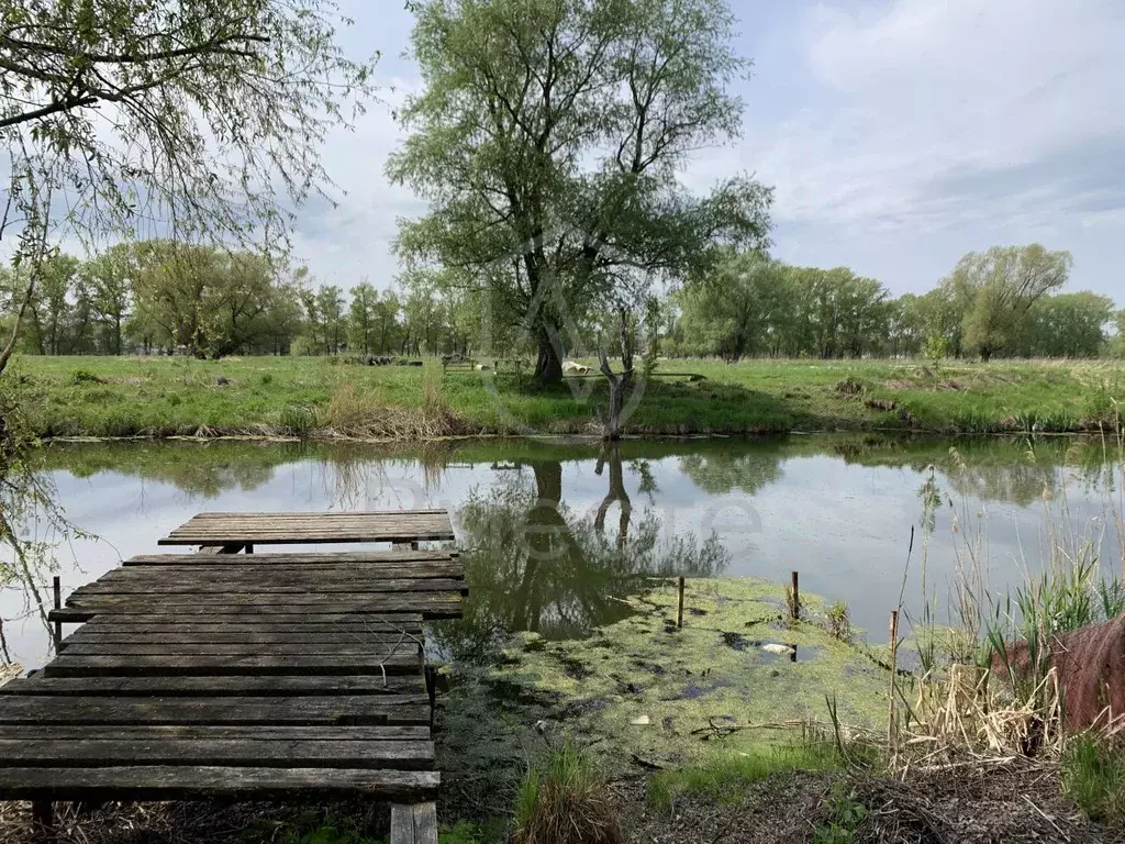 Дом в Новосибирская область, Новосибирск Мелиоративная ул., 96 (160 м) - Фото 1