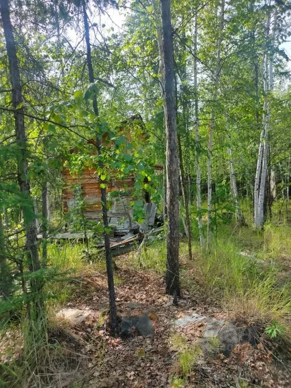 Участок в Саха (Якутия), Якутск городской округ, с. Маган  (11.0 сот.) - Фото 1
