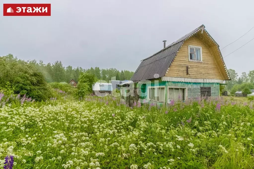 Купить Дачу В Лучевом 1 Карелия