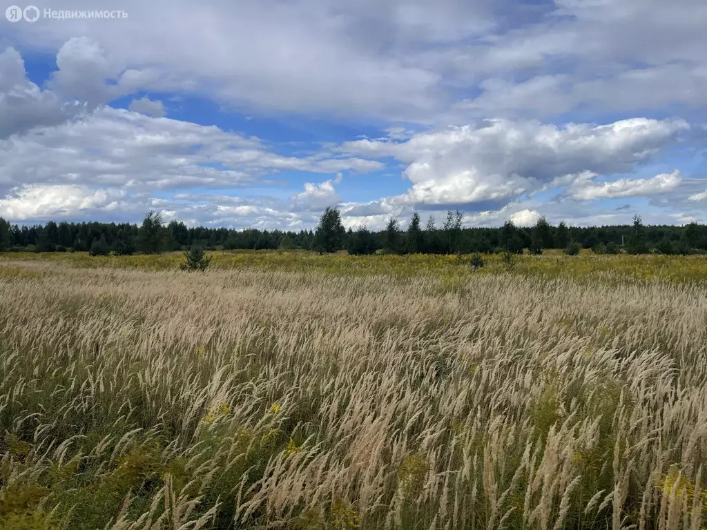 Участок в Нижегородская область, Бор (8 м) - Фото 1