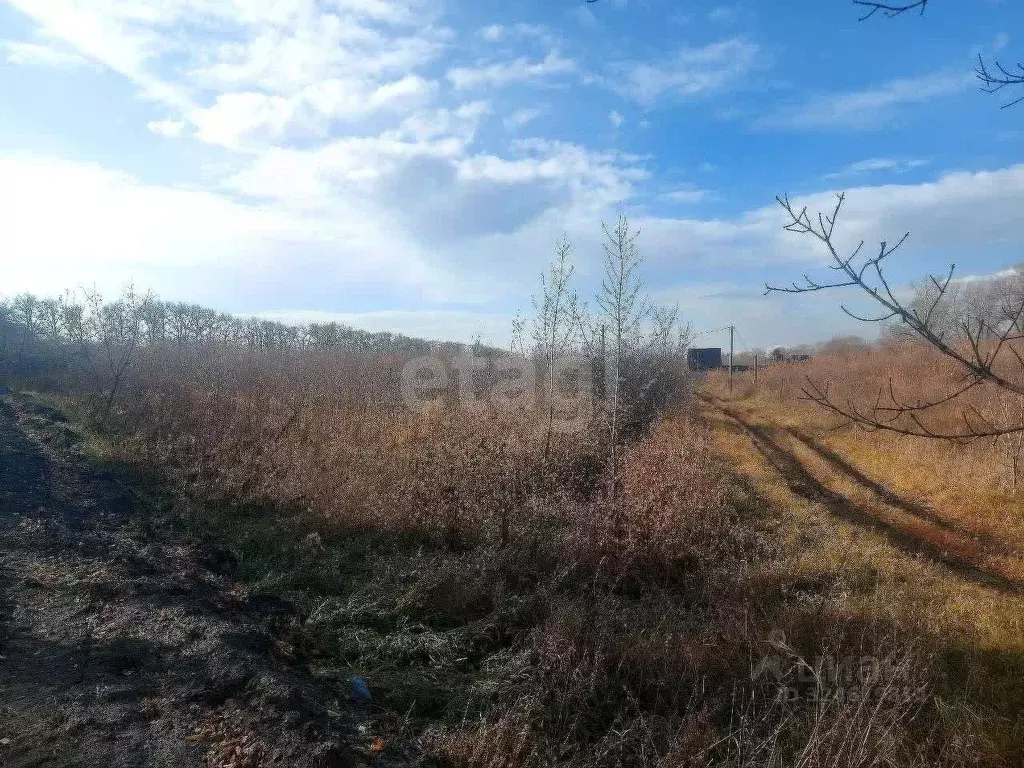 Участок в Курганская область, Курган Тополя мкр, Весенняя ул. (12.3 ... - Фото 2