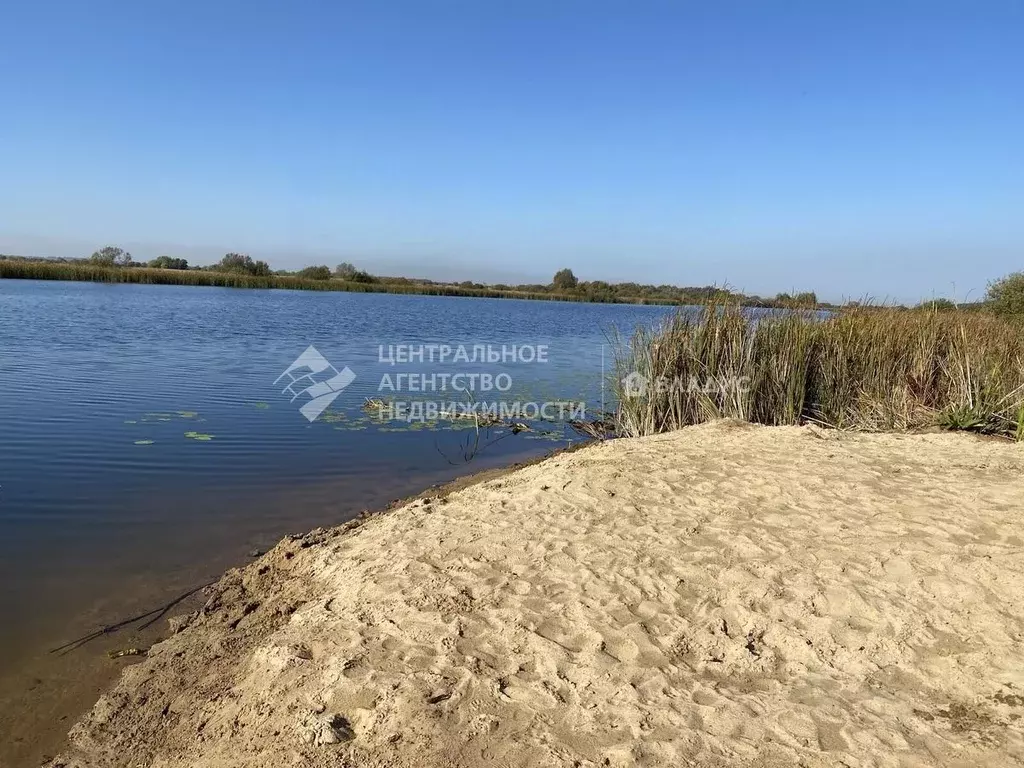 Участок в Рязанская область, Спасский муниципальный округ, д. ... - Фото 1