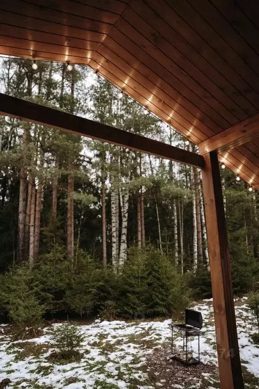 Дом в Ленинградская область, Тосненский район, Любанское городское ... - Фото 1