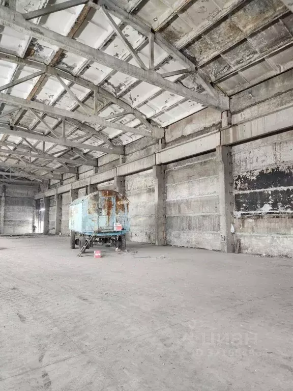 Помещение свободного назначения в Алтайский край, Барнаул просп. ... - Фото 2