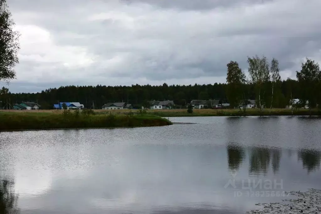 Дом в Костромская область, Нерехтский район, Воскресенское с/пос, пос. ... - Фото 2