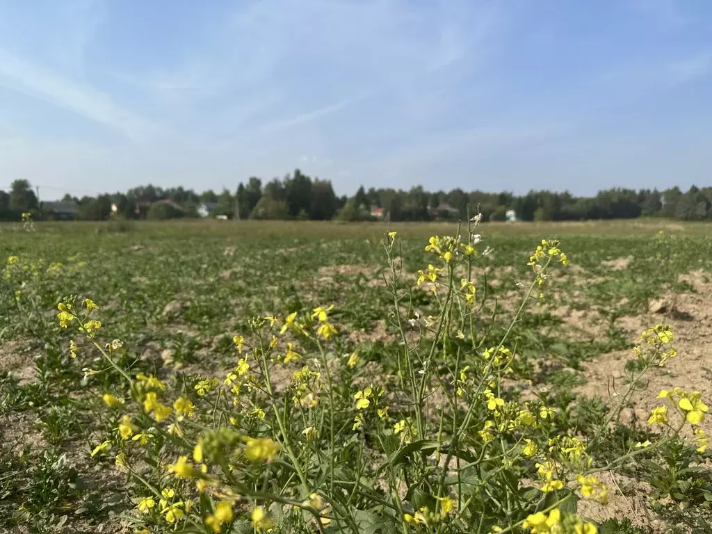 Участок в Московская область, Пушкинский городской округ, д. ... - Фото 1