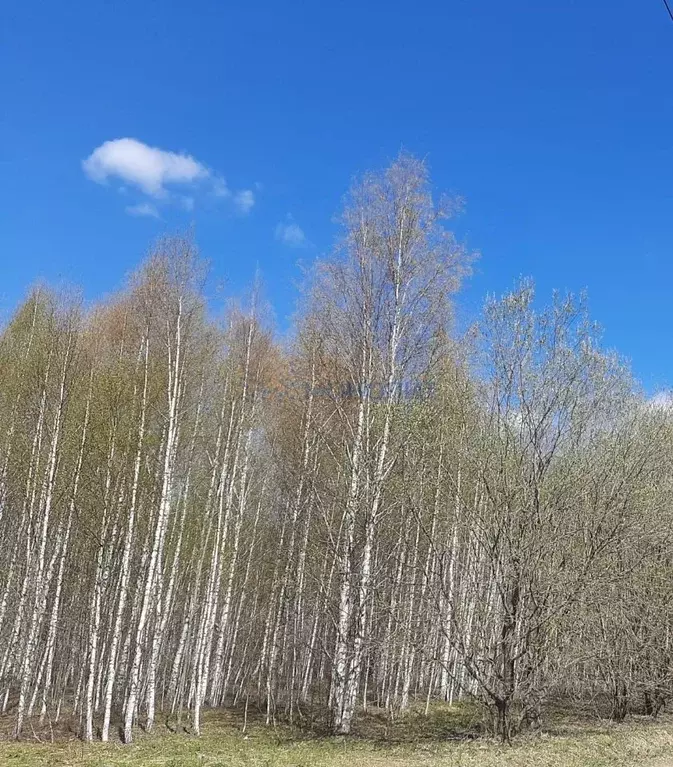 Участок в Нижегородская область, Нижний Новгород городской округ, д. ... - Фото 0