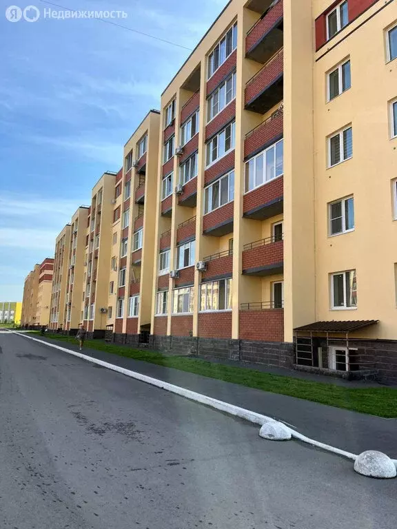 1-комнатная квартира: село Зубово, улица Игоря Талькова, 5 (34.5 м) - Фото 1
