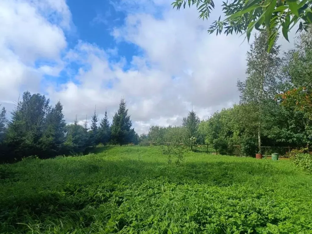 дом в ленинградская область, гатчинский район, вырица городской . - Фото 0