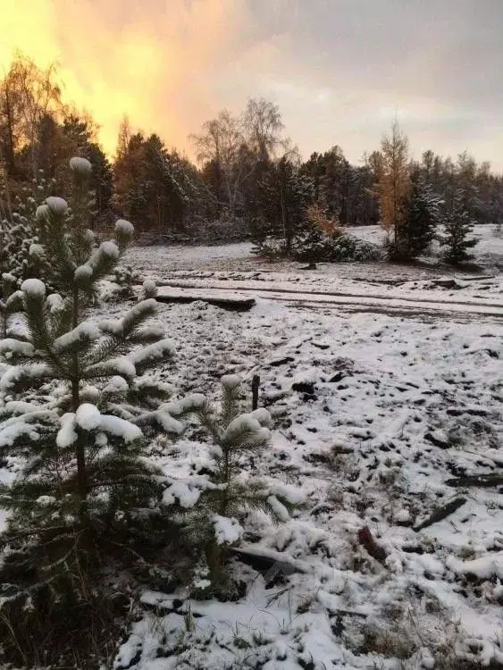 Участок в Саха (Якутия), Муниципальный район Хангаласский у., с. ... - Фото 2