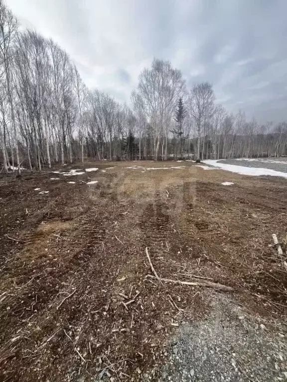Участок в Сахалинская область, Южно-Сахалинск Весточка ДНТ,  (10.0 ... - Фото 0