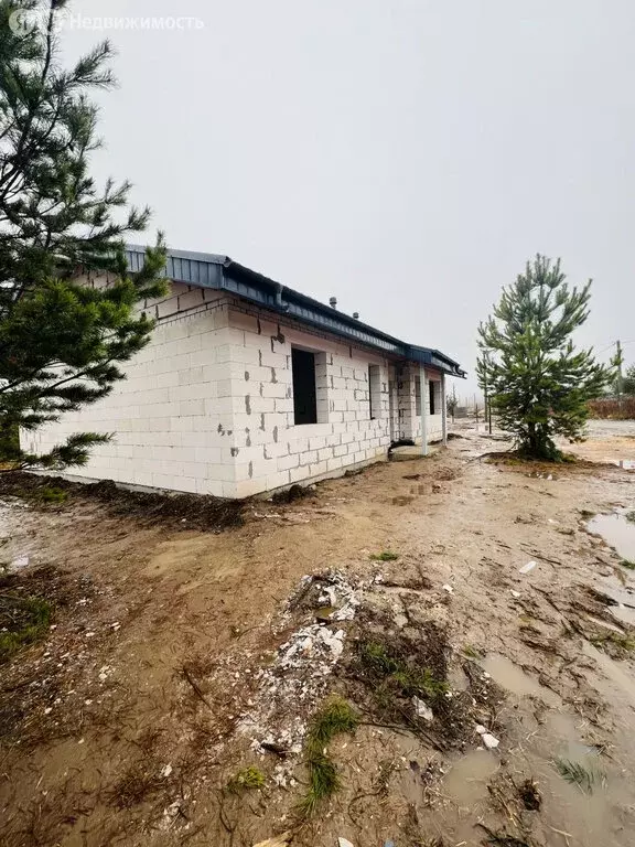 Дом в городской округ Нижний Новгород, село Безводное (104 м) - Фото 1