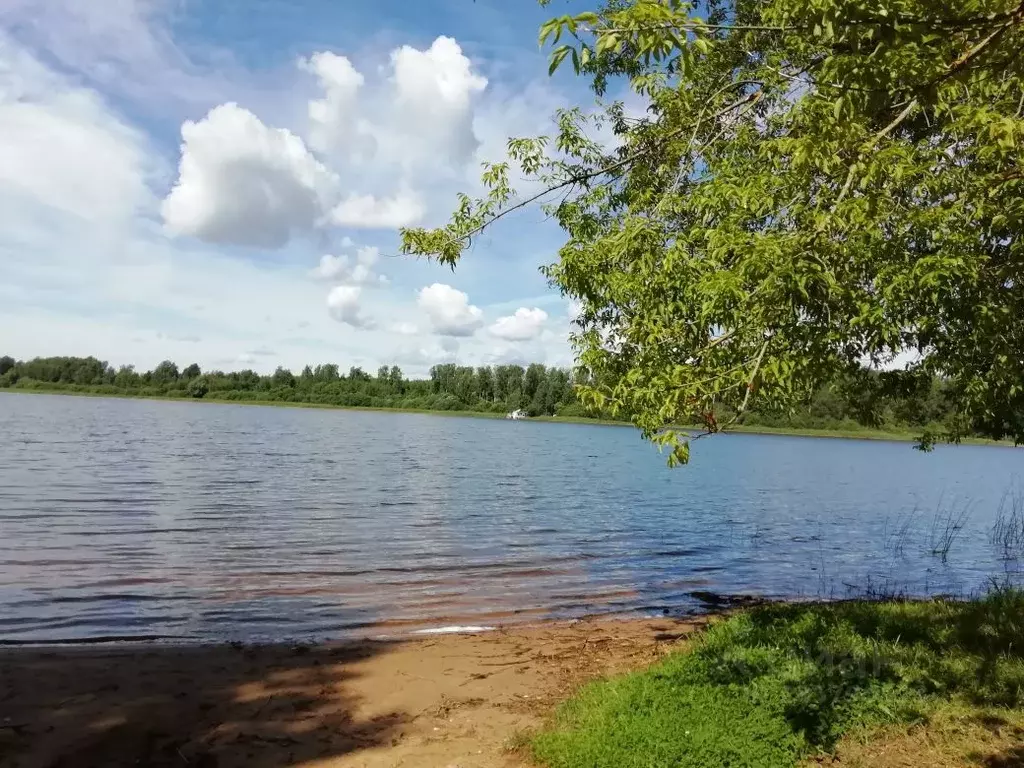 Дом в Московская область, Солнечногорск городской округ, д. Новая  (80 ... - Фото 2