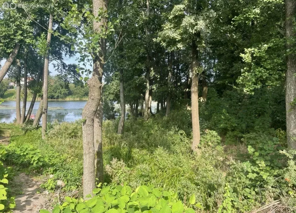 Участок в Пионерский, Заозёрная улица (11 м) - Фото 1