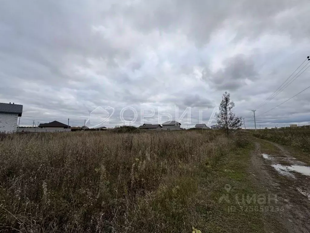 Участок в Свердловская область, Тугулымский муниципальный округ, с. ... - Фото 1