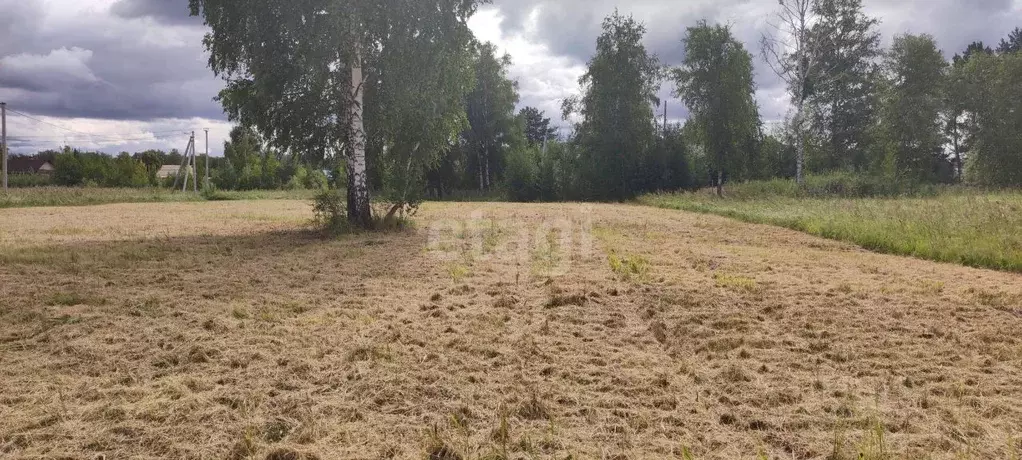 Участок в Тюменская область, Тюмень Зеленый Бор ДНТСН, ул. Крымская ... - Фото 1