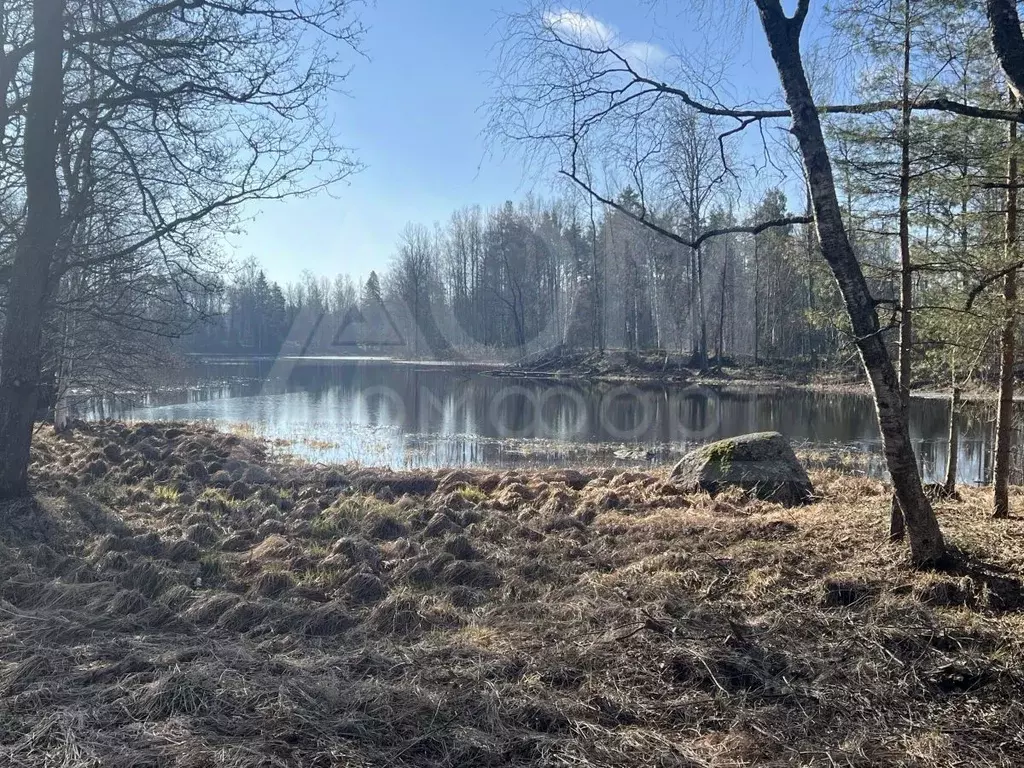 Участок в Ленинградская область, Приозерский район, Мельниковское ... - Фото 2