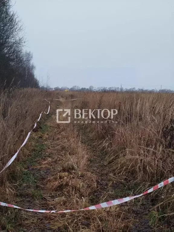 Участок в Костромская область, Кострома ул. Счастливая (13.5 сот.) - Фото 1