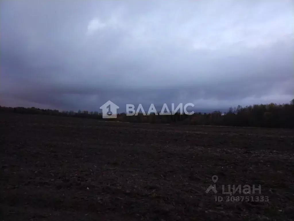 Участок в Вологодская область, д. Пыхмарево  (10.0 сот.) - Фото 1