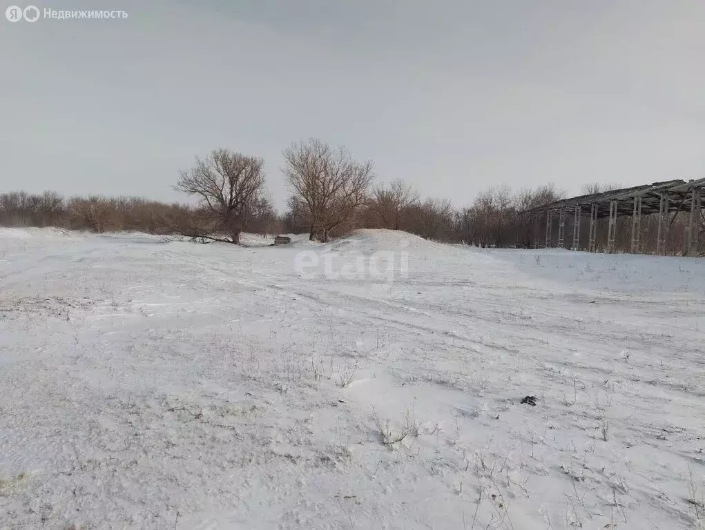 Участок в Рубцовский район, Куйбышевский сельсовет, посёлок Куйбышево ... - Фото 1