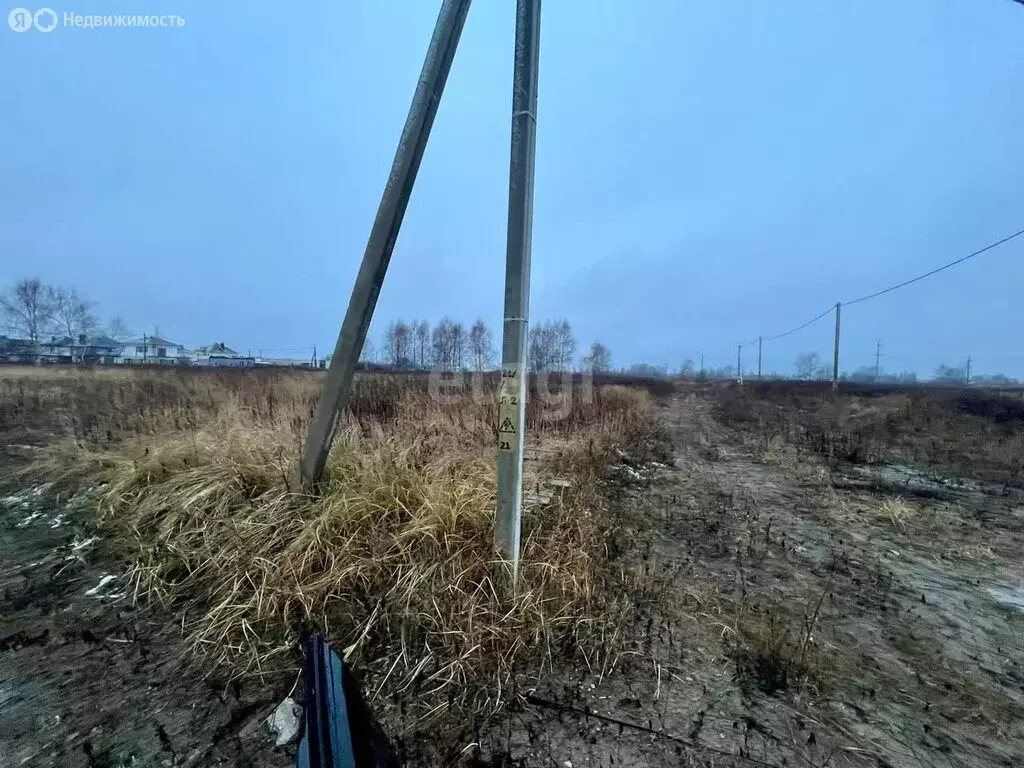 Участок в Калининградская область, Гурьевский муниципальный округ, ... - Фото 0