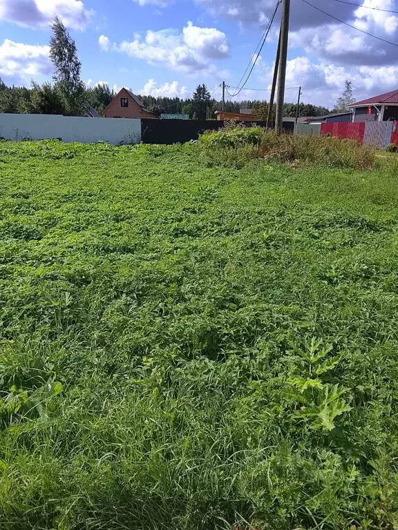 Участок в Ленинградская область, Гатчинский муниципальный округ, ... - Фото 1