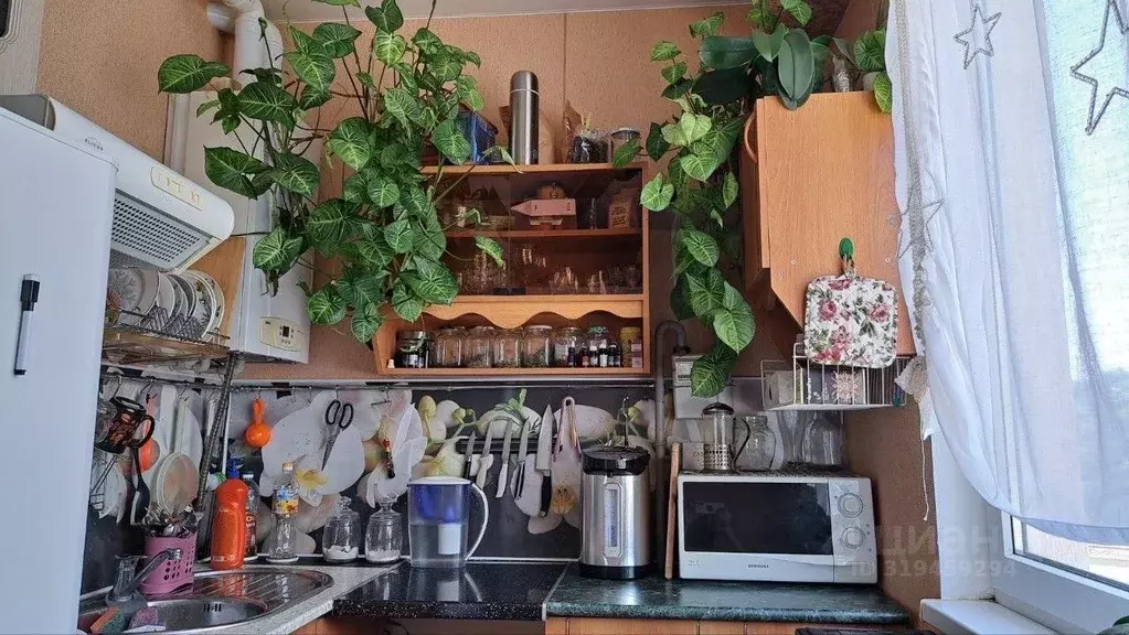 Квартира, 1 комната, 33 м - Фото 1