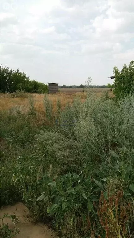 Участок в городской округ Оренбург, посёлок Самородово (10.2 м) - Фото 0