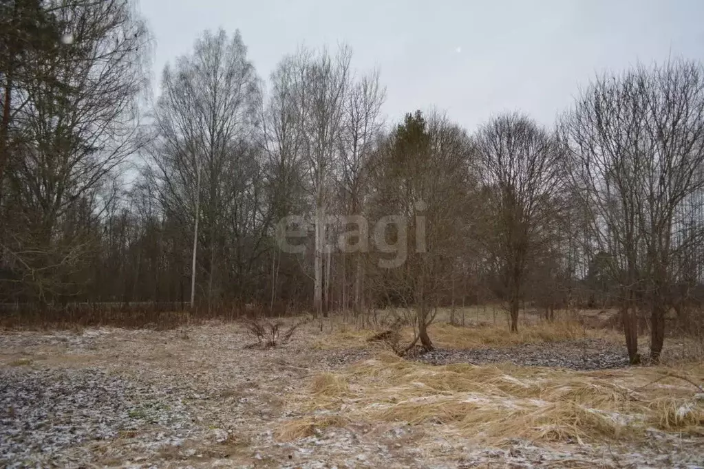 Участок в Псковская область, Порховский муниципальный округ, Медик СНТ ... - Фото 1
