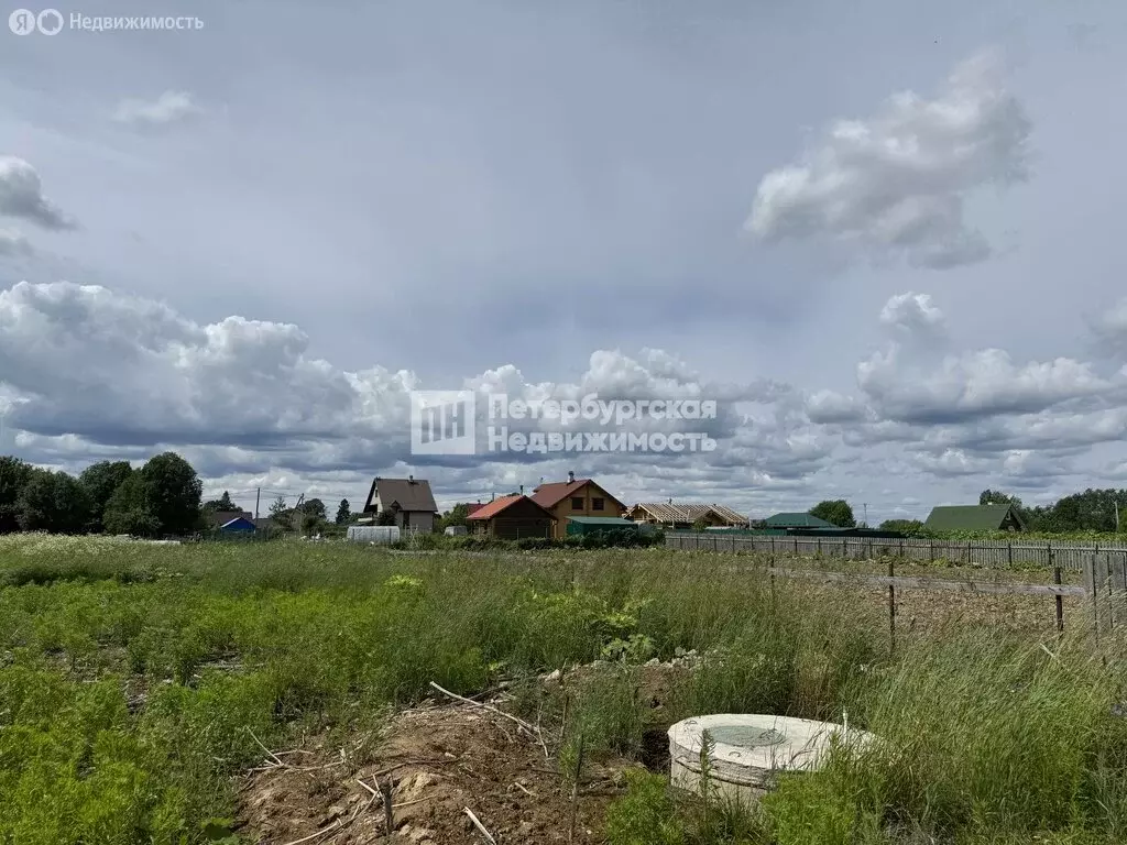 Участок в Скребловское сельское поселение, деревня Заорешье, Луговая ... - Фото 1