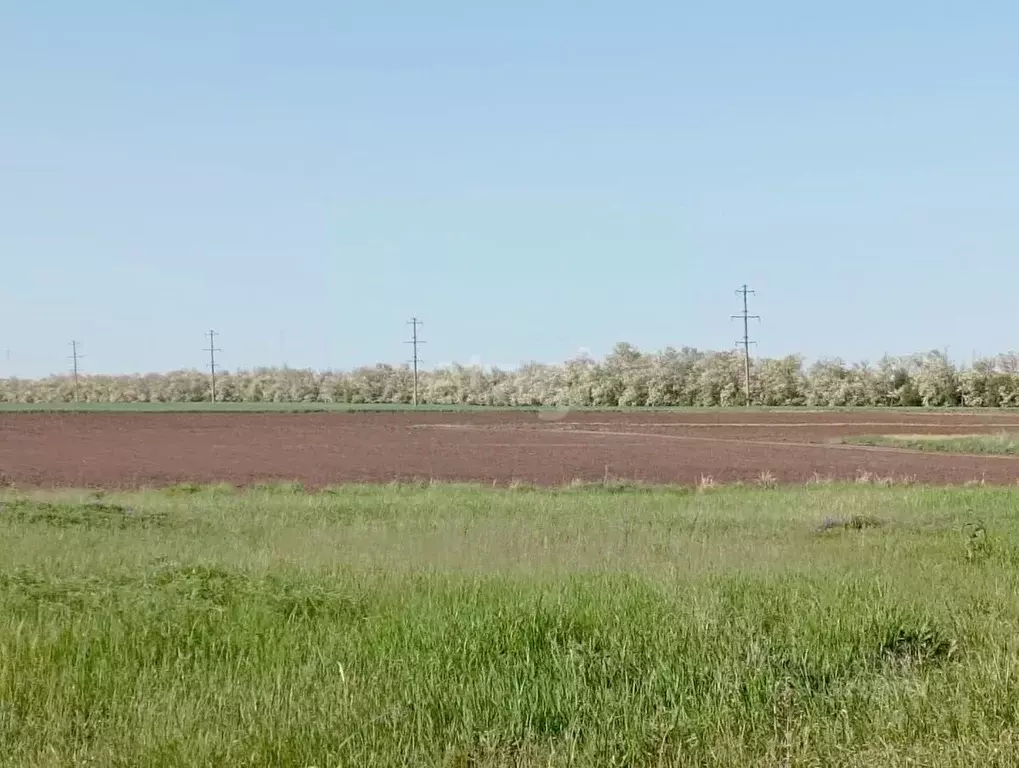 Участок в Краснодарский край, Ейский район, Александровское с/пос, ... - Фото 1