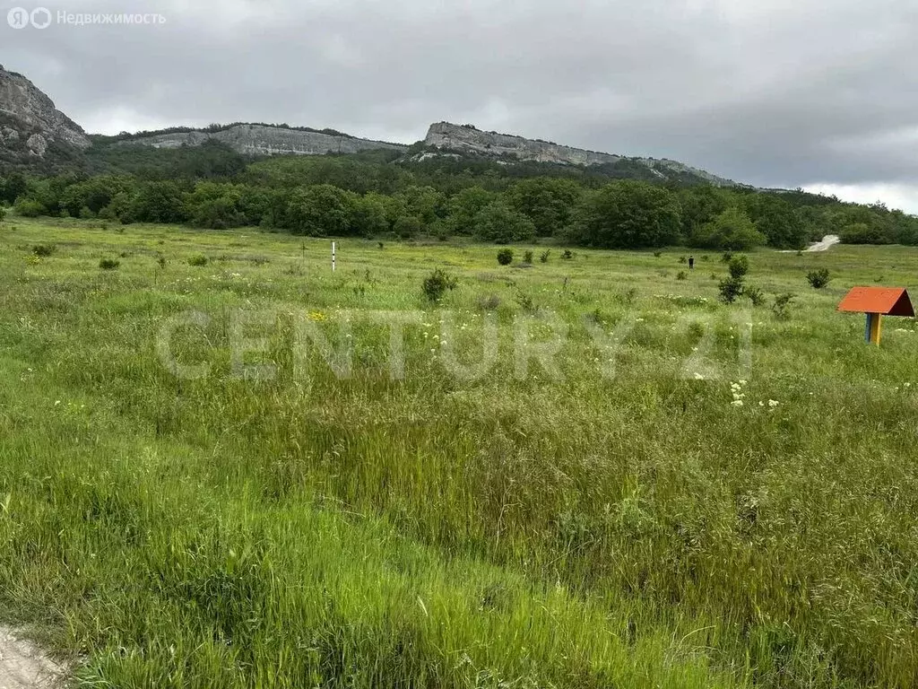 Участок в Терновский муниципальный округ, КСП Память Ленина (133.5 м) - Фото 2